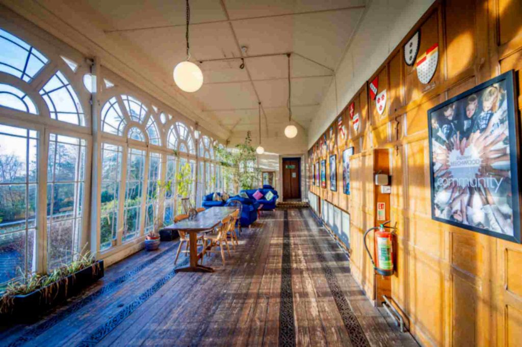 Beechwood common area with sofas and large windows